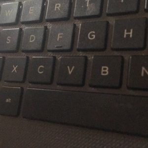 Meet your Posher, Bella